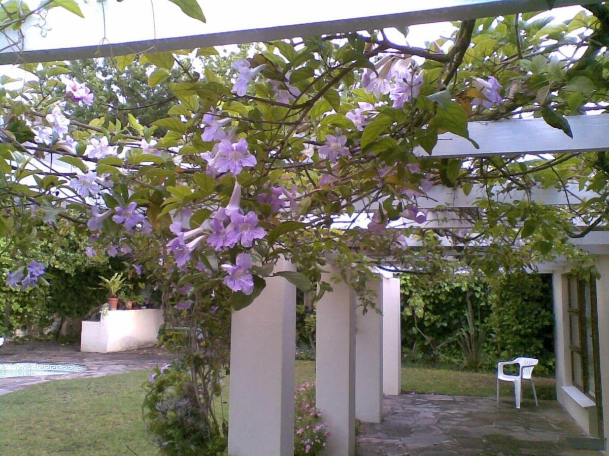 11 Lucius Way Cidade Do Cabo Exterior foto