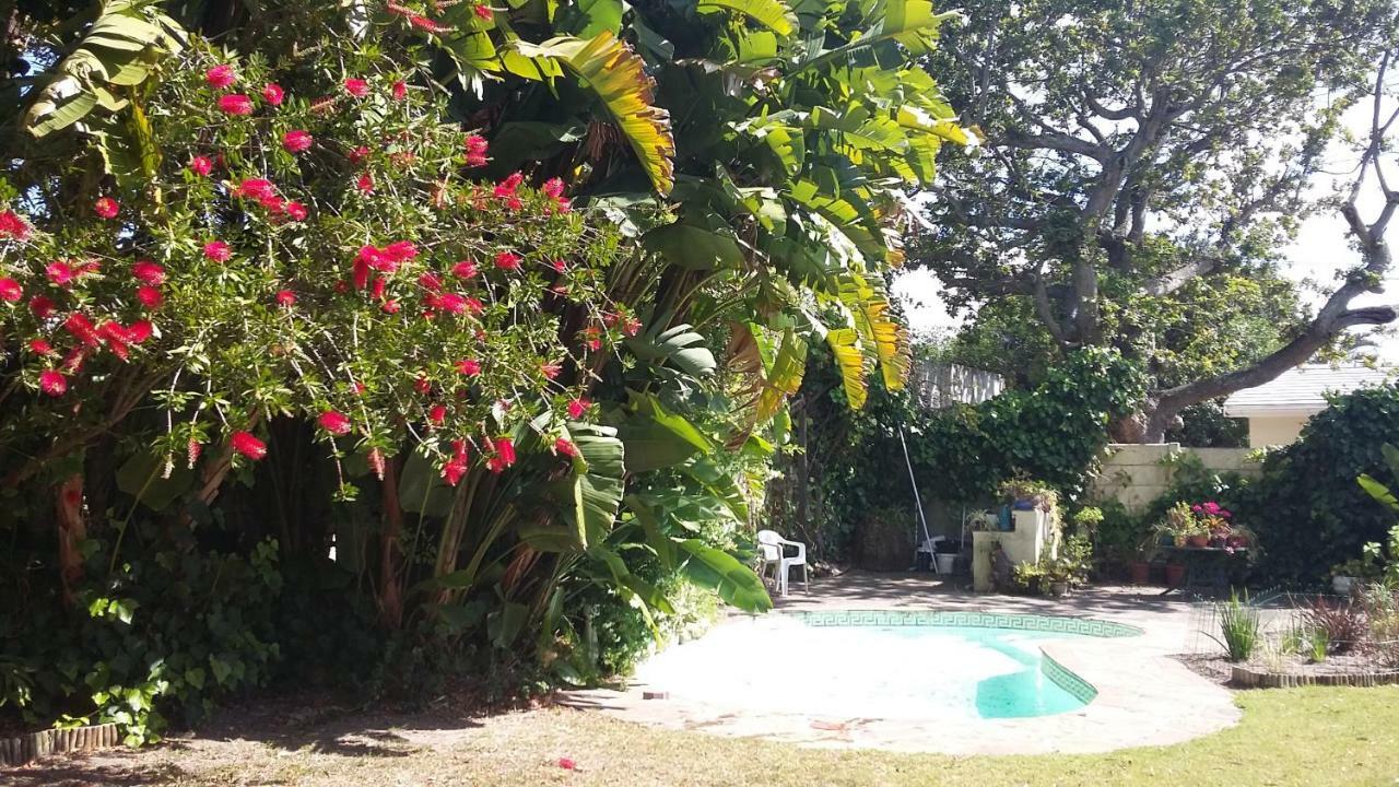 11 Lucius Way Cidade Do Cabo Exterior foto